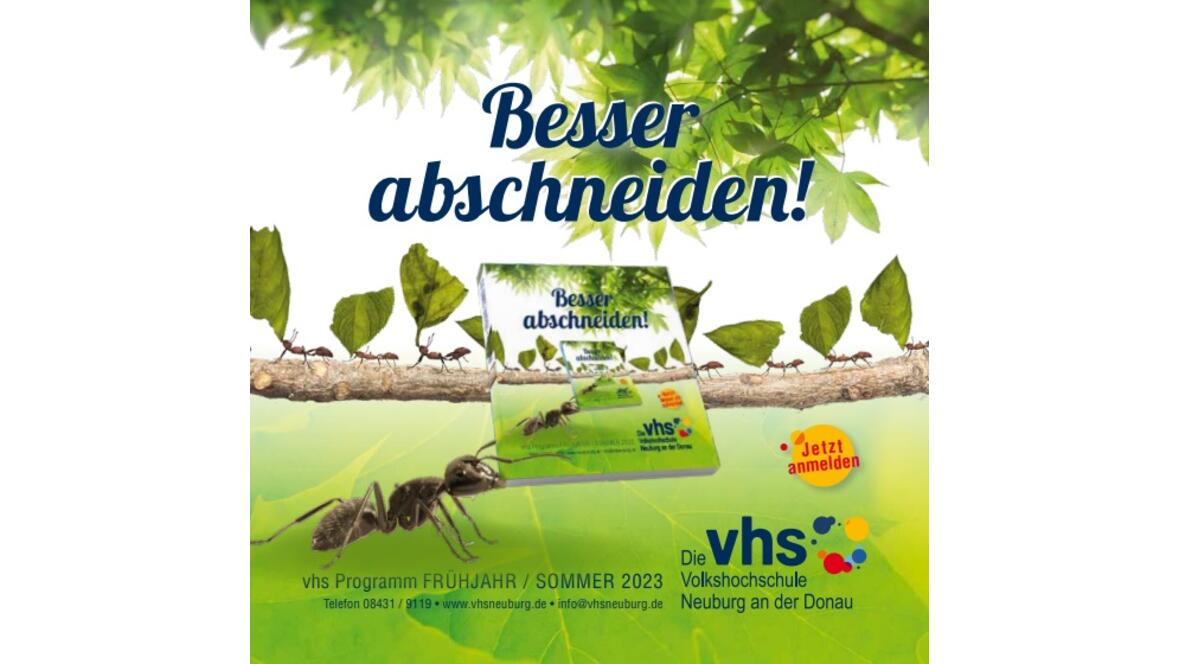 VHS Programm