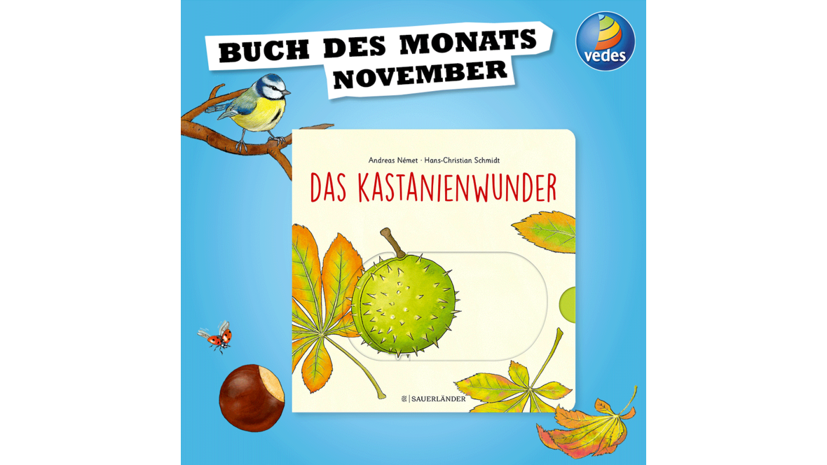 2023-11-08_11-00-01-facebook_bdm_11_2023_1000x1000px