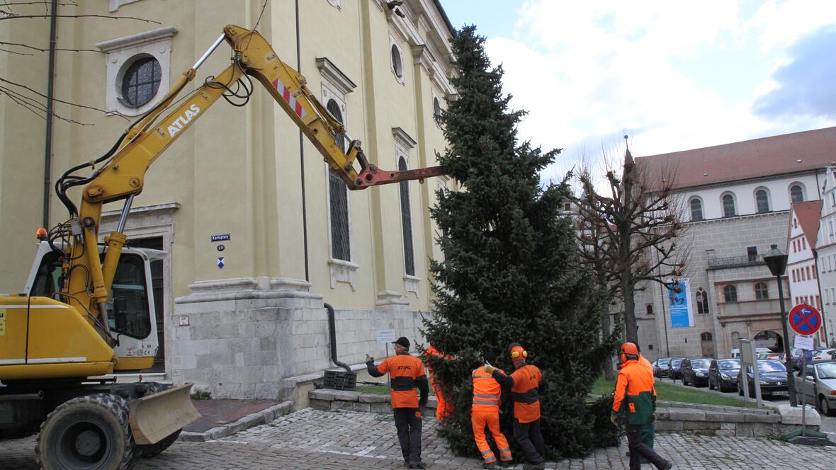 christbaum-aufstellen-karlsplatz