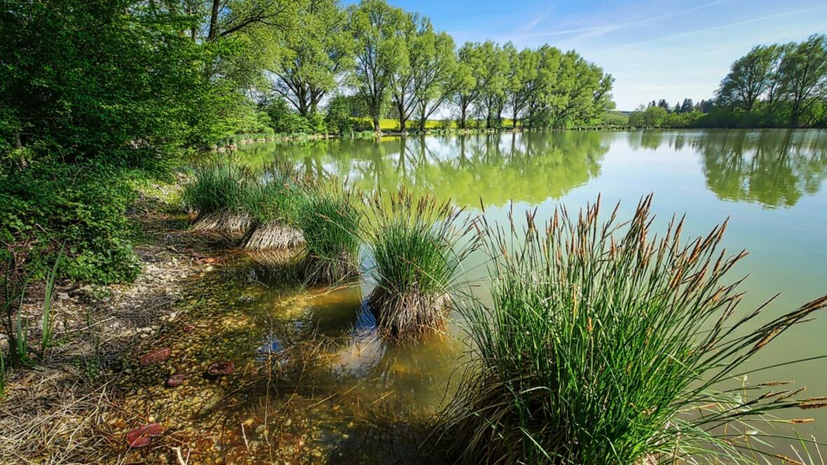 weiher-nato-gebiet