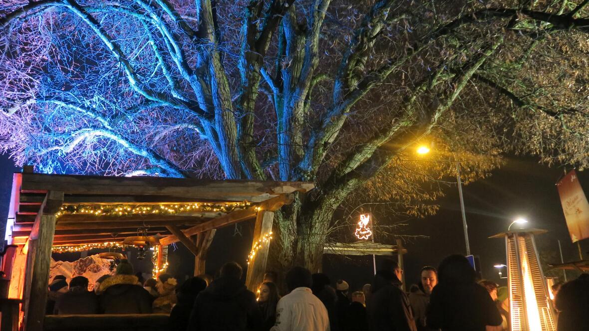 stand-und-blau-beleuchteter-baum-der-wichtelhuette