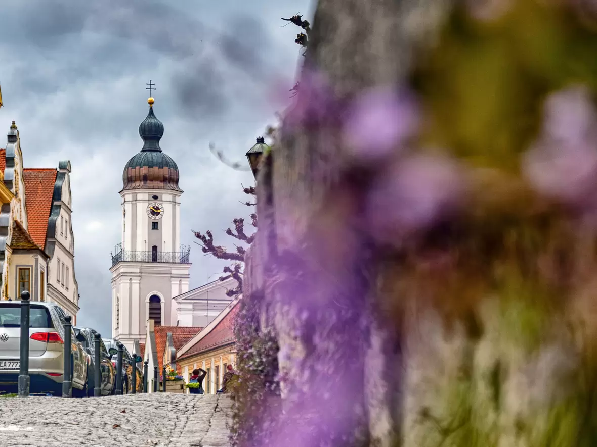 220425-leserfoto-aktion-neuburg-com-altstadt-mit-st-peter