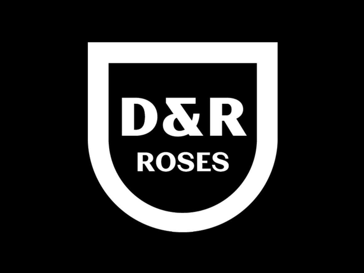 d-r-roses
