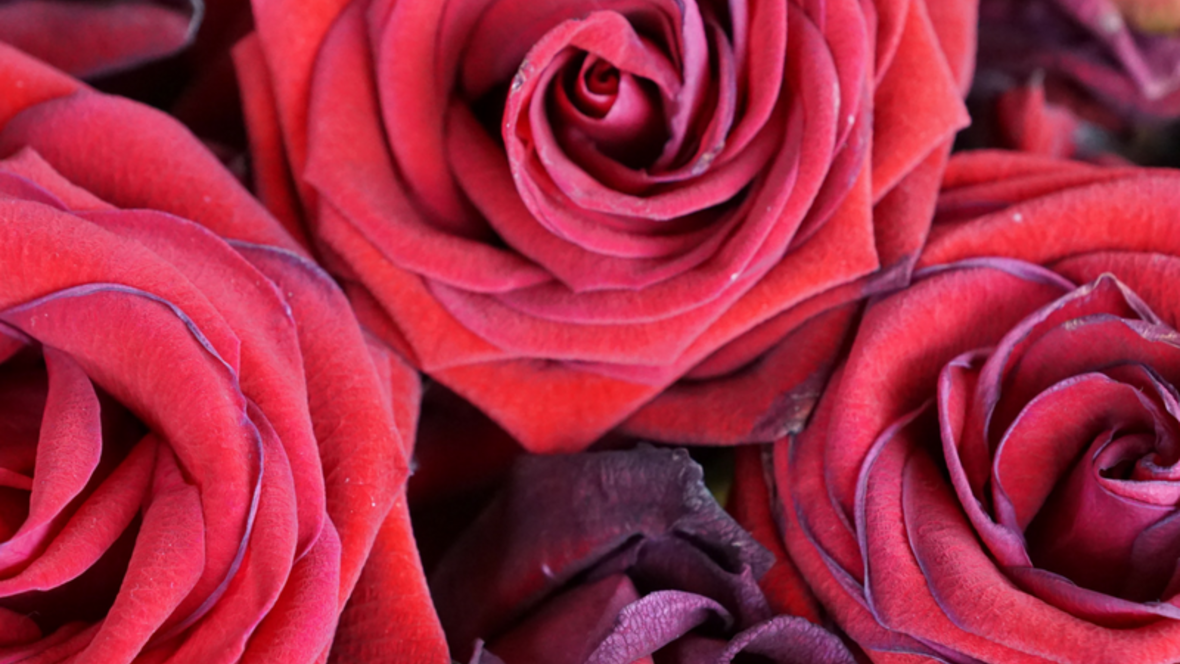 valentinstag