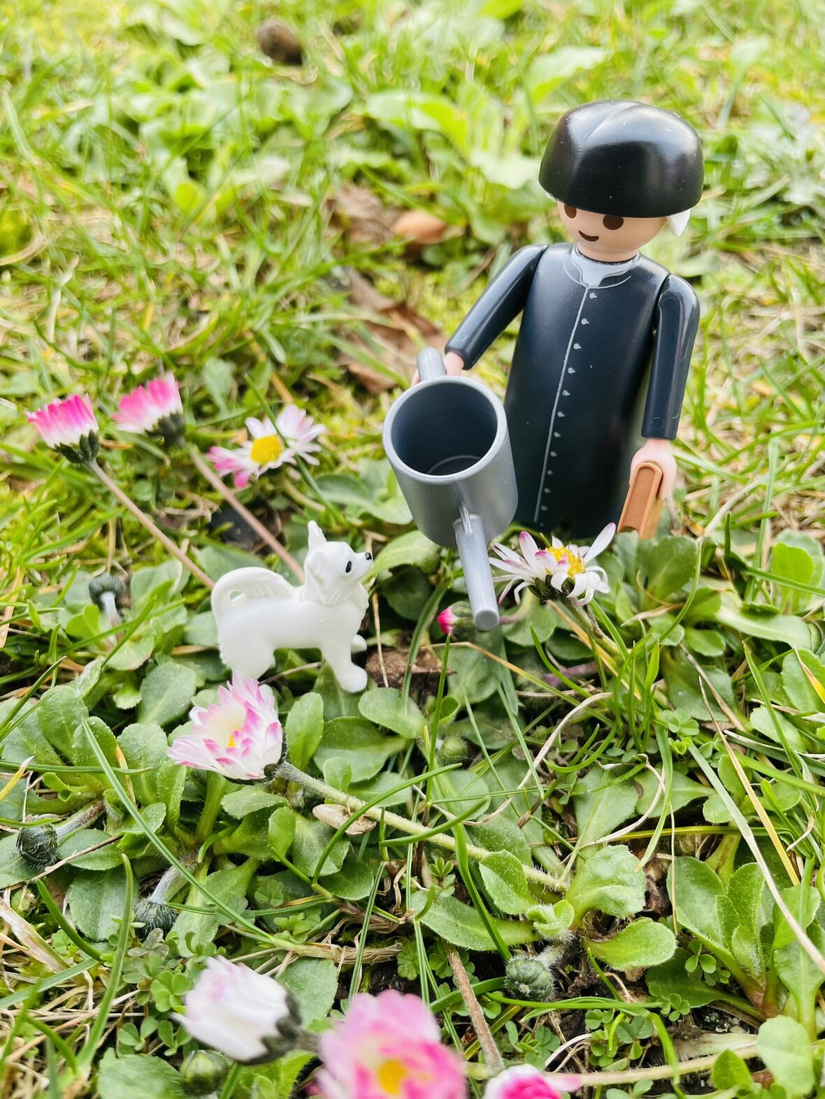 2025-02-14_01-10-42-img_3354