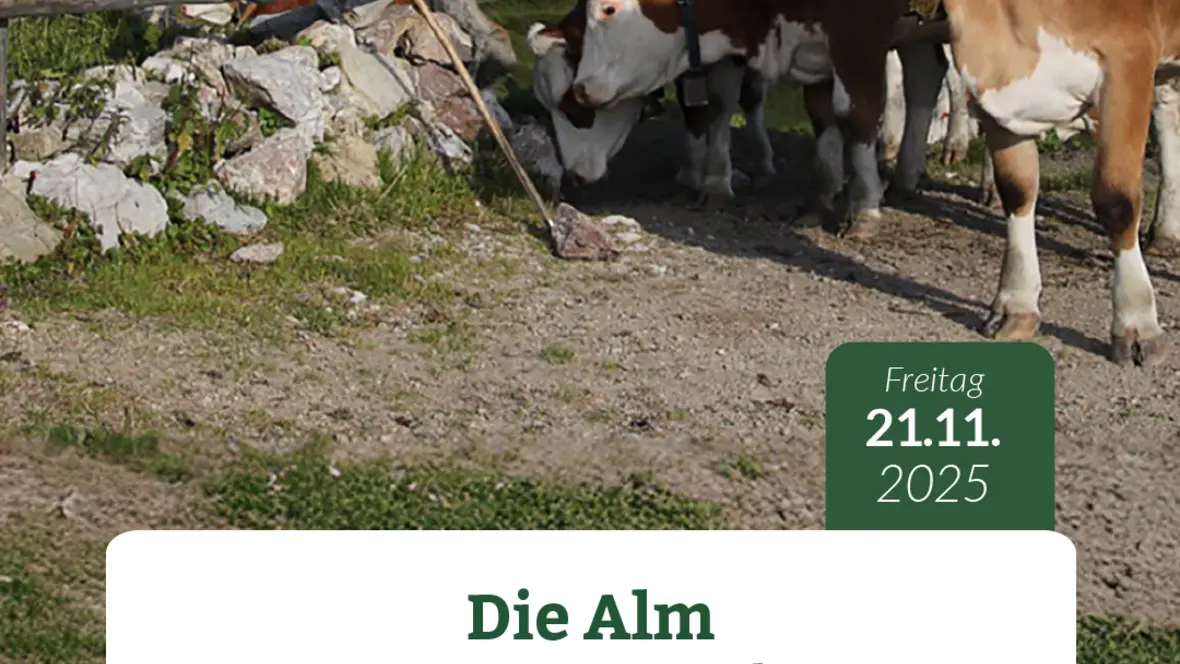 2025-07-07_09-42-30-insta_1080x1920_die-alm_kh