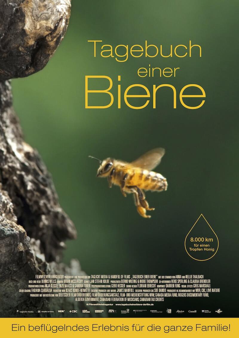 das-tagebuch-einer-biene