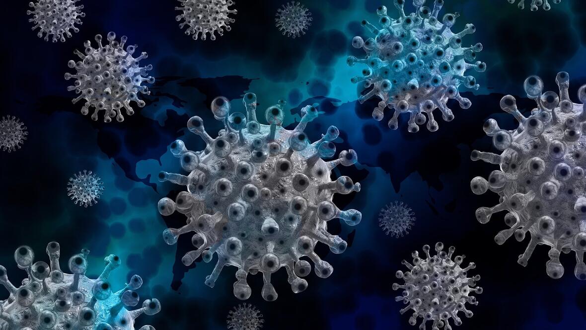 coronavirus