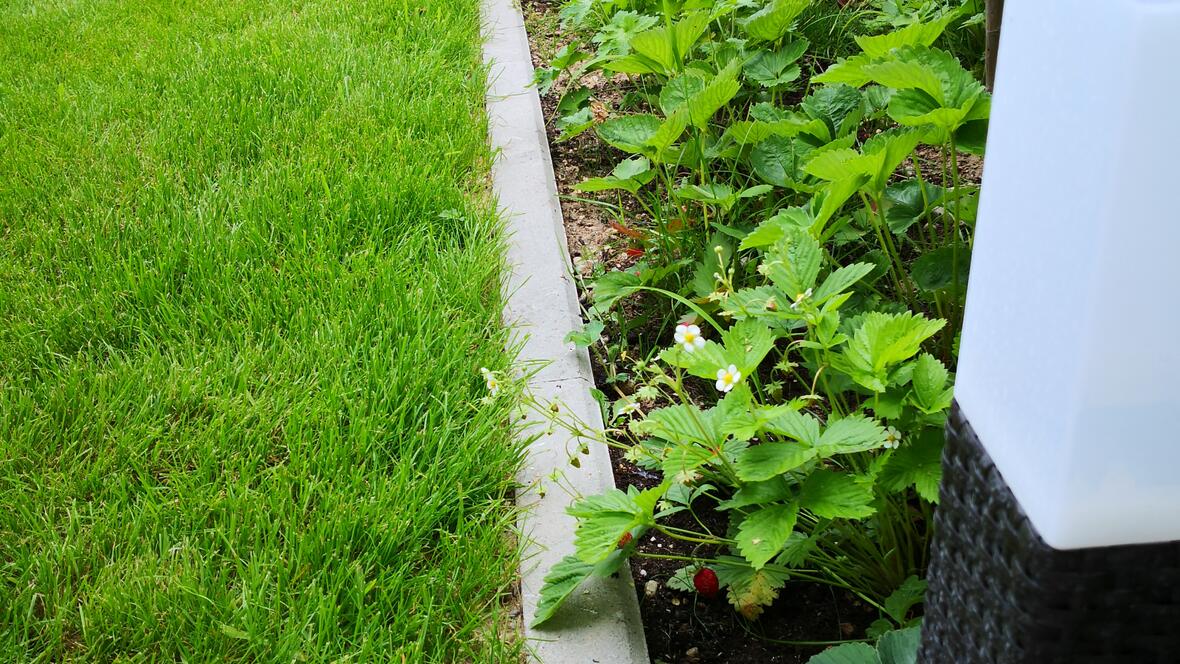 Gartenumgestaltung (Einfassungen, Rasen, Wege Stellflächen, Zaun, Terrasse)