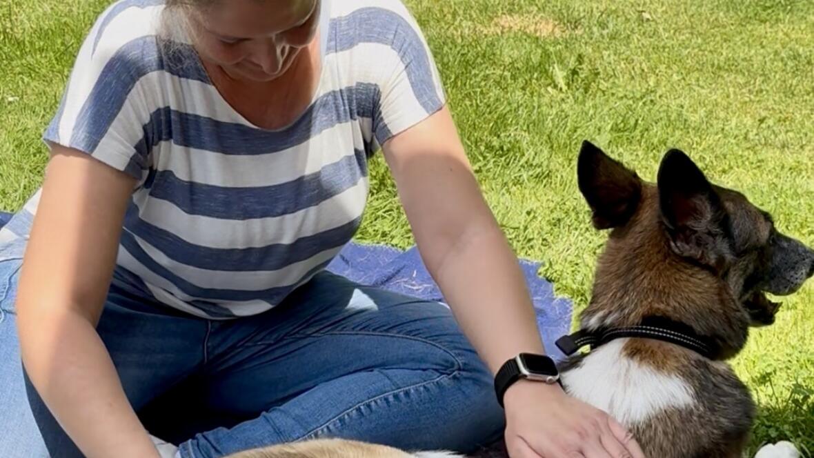 Physiotherapeutische Behandlung fuer Hunde bei Tiertherapie Wagner in Neuburg, tiertherapie wagner und neuburg