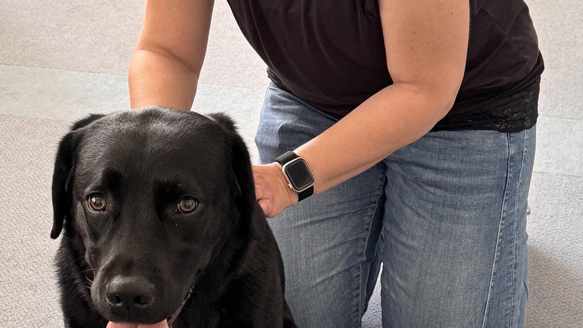 Sanfte Hundeosteopathie für mehr Wohlbefinden bei Tiertherapie Wagner in Neuburg