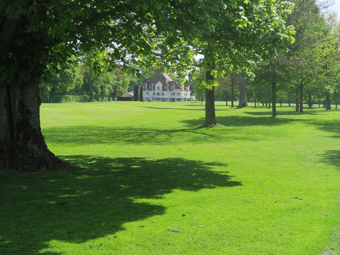 durch-viele-baeumen-auf-dem-platz-gibt-es-auch-im-sommer-schatten